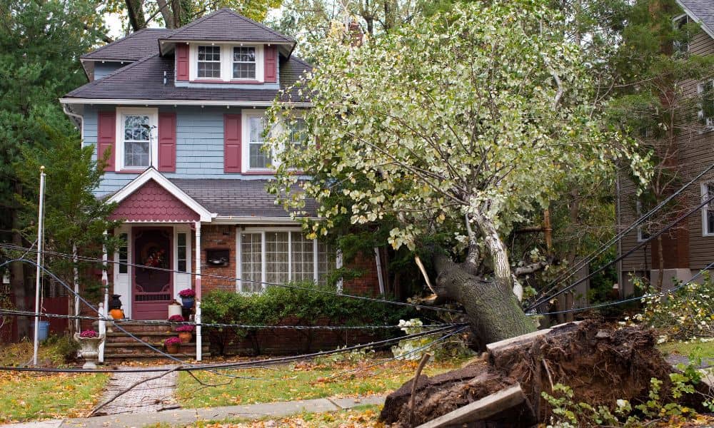 Storm-damaged suburban house with fallen tree and downed power lines, showing why an ALTA title survey is important before insurance claims
