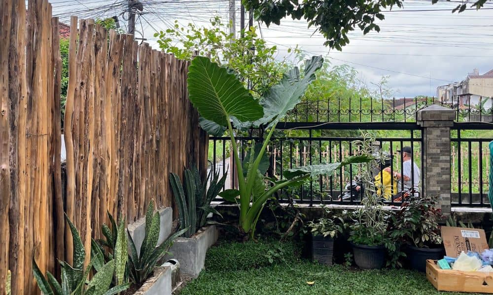 Tight backyard fence narrow side yard - ALTA SURVEY Massachusetts Tight backyard fence and narrow side yard where a property line survey helps confirm boundaries