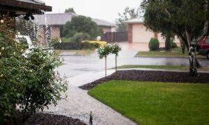 Rainwater moving through a residential yard highlighting drainage issues that surveying companies help identify